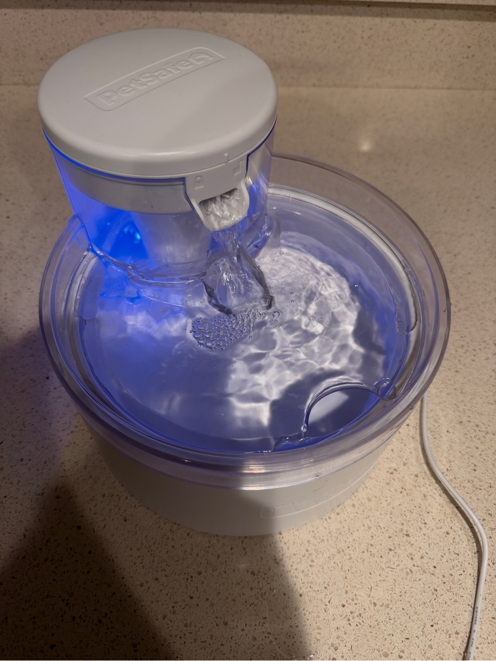 Pet Safe Pumpless Water Fountain for Pets